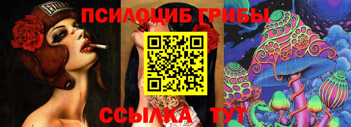 Галлюциногенные грибы ЛСД Новозыбков