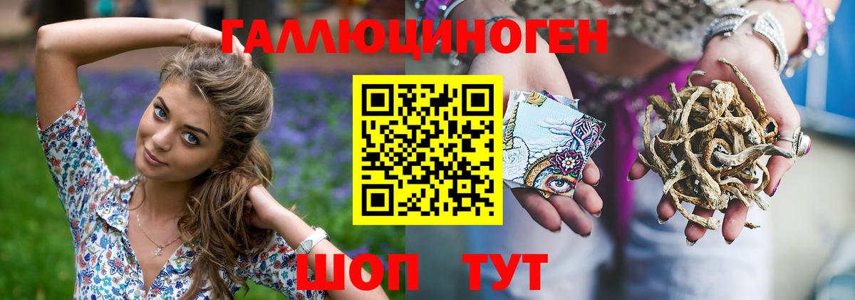 где продают   Вход с VPN  Новозыбков  Галлюциногенные грибы ЛСД 